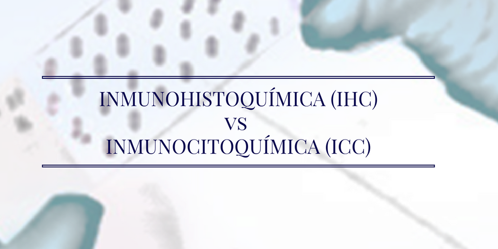 Diferencias entre Inmunohistoquímica e Inmunocitoquímica