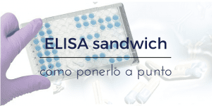 ELISA tipo sandwich