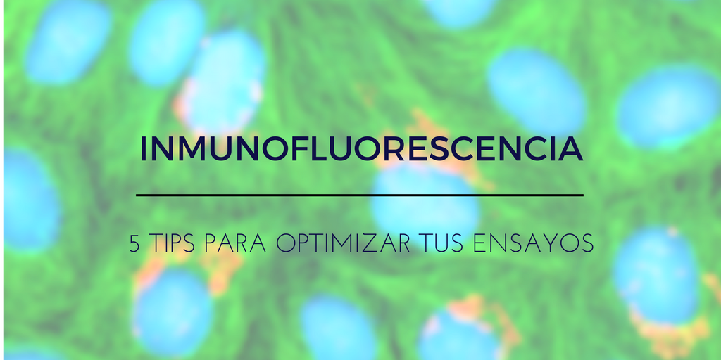 5 tips para Inmunofluorescencia (IF)