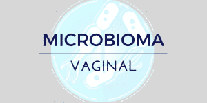 Microbioma vaginal