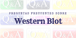 Preguntas frecuentes sobre western blot