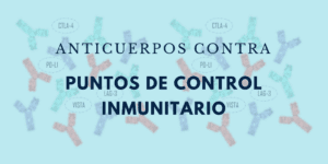 Anticuerpos contra puntos de control inmunitario