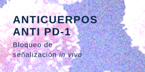 anticuerpos anti PD-1