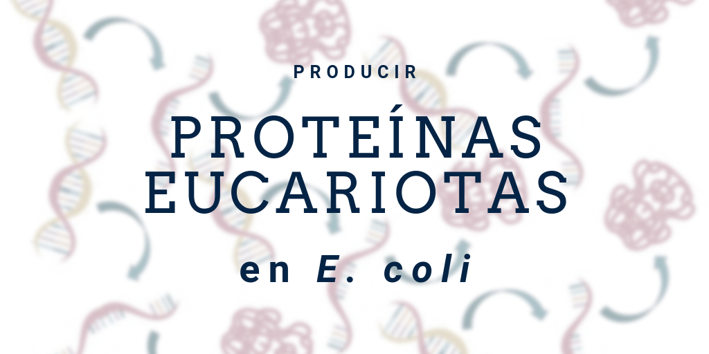 proteínas eucariotas en e. coli
