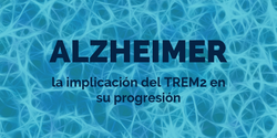 trem2 antibodies alzheimer abyntek