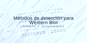 Métodos de detección para Western Blot