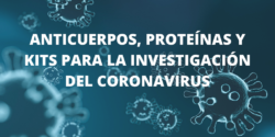 Anticuerpos y kits para el estudio del Coronavirus