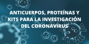 Anticuerpos y kits para el estudio del Coronavirus (2019-nCoV)