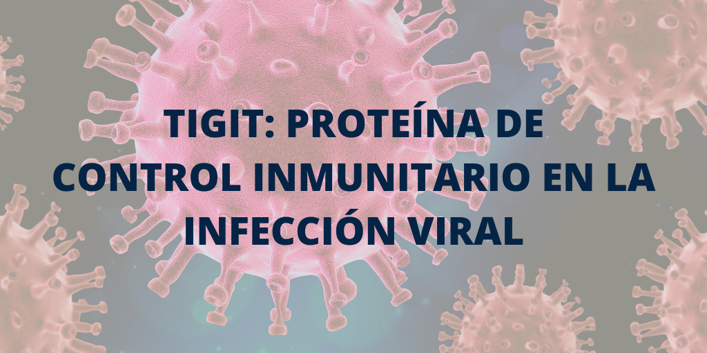 TIGIT Proteína de control inmunitario en la infección viral