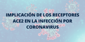 ACE2 en coronavirus