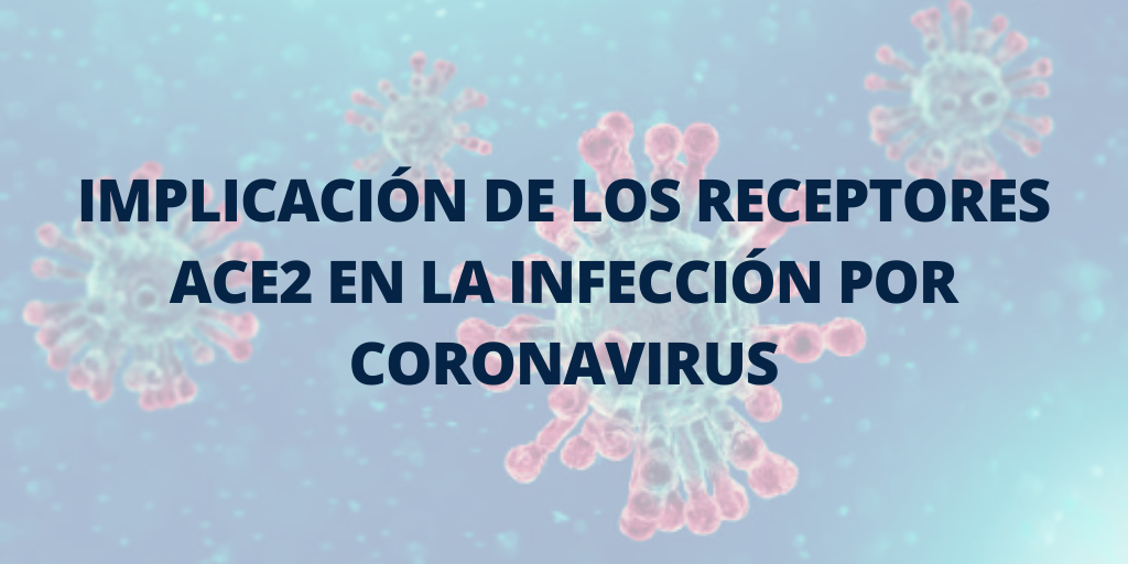 Implicación de los receptores ACE2 en la infección por Coronavirus