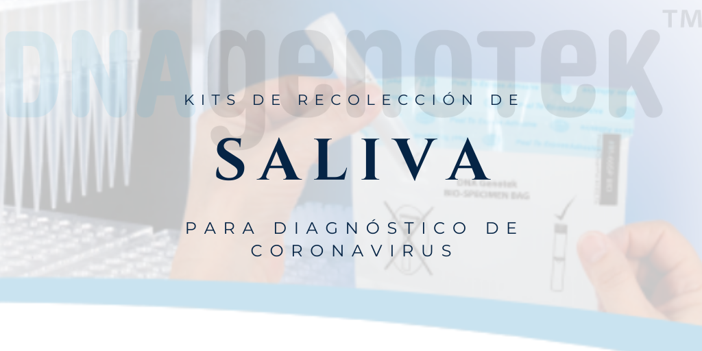 Kits de recolección de saliva para diagnóstico de Coronavirus