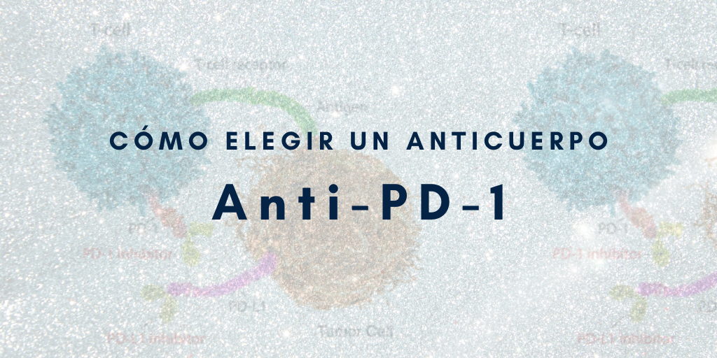 Cómo elegir anticuerpos anti-PD-1 para tu investigación