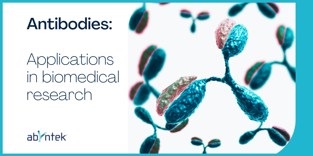 Applications of antibodies in biomedical research