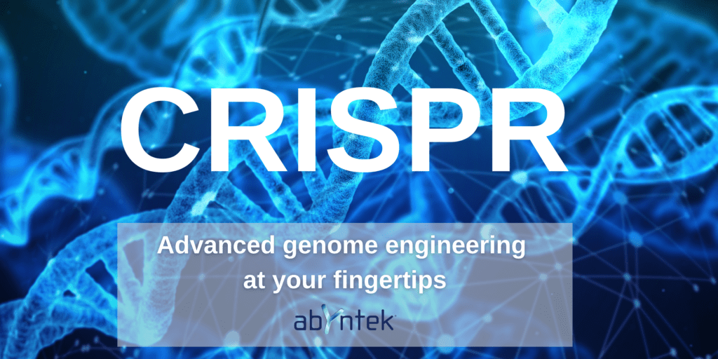 CRISPR Key questions