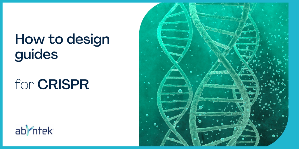 How to design guides for CRISPR