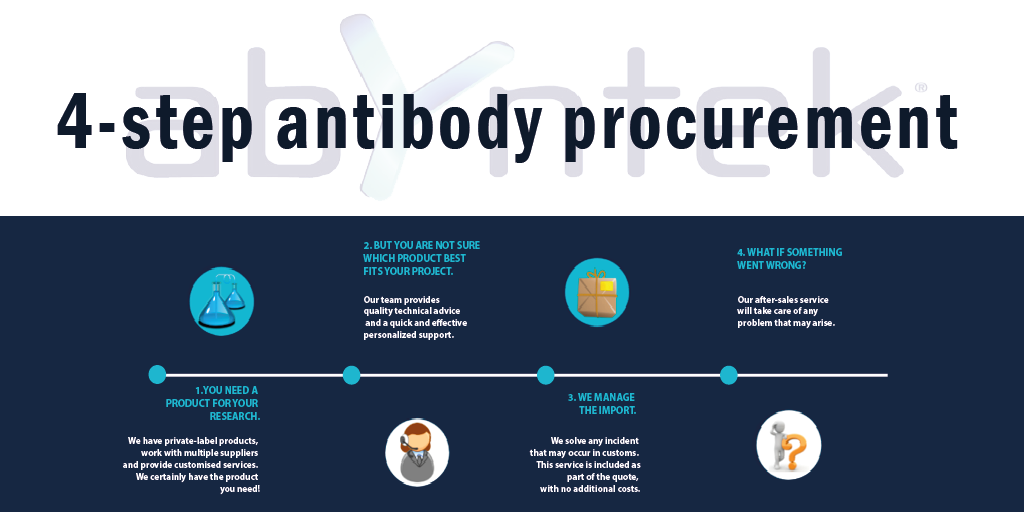 abyntek, antibody procurement in four stages
