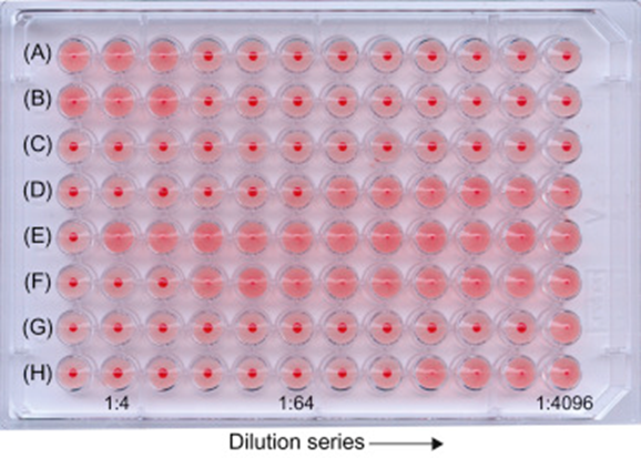 Dilution series