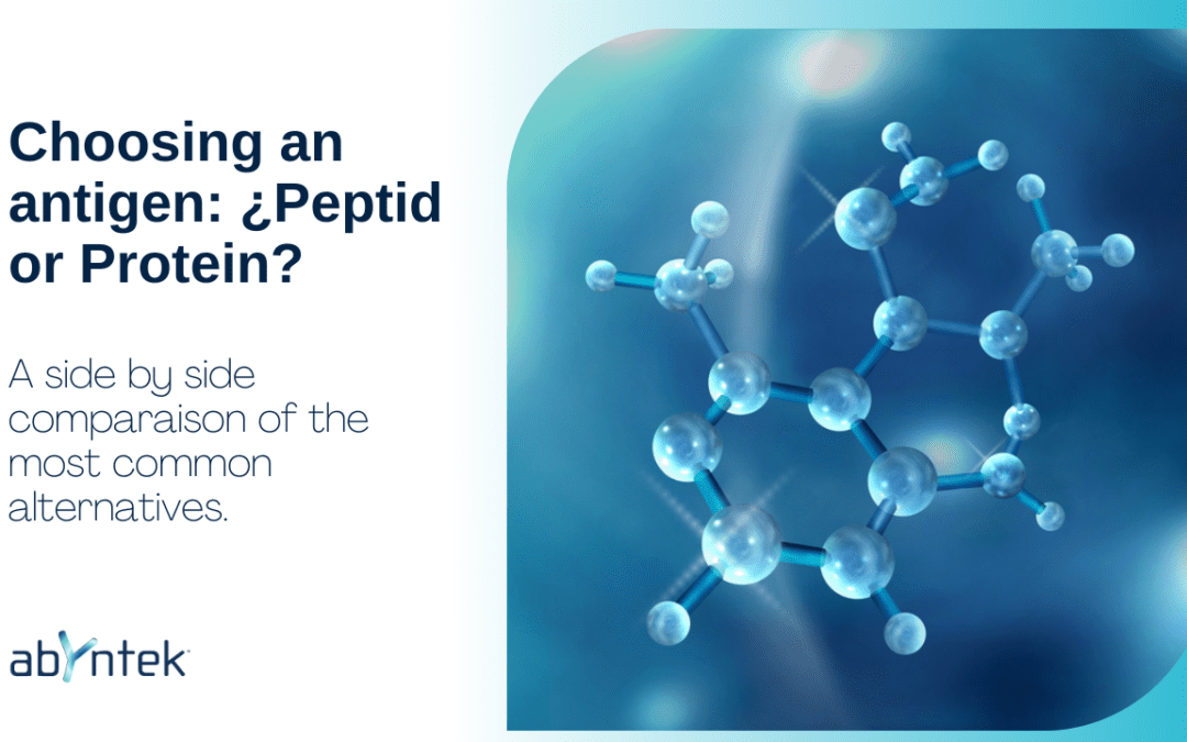 Choosing an antigen: ¿Peptide or Protein?