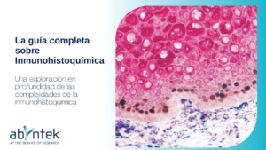 La guía completa sobre inmunohistoquímica
