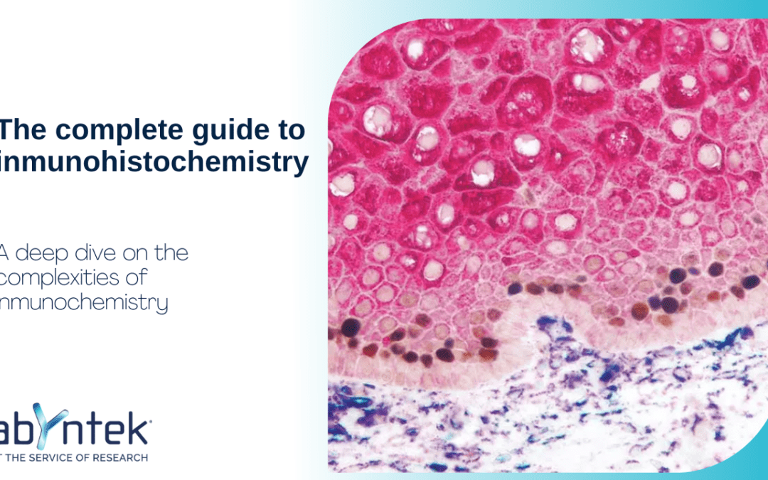 The complete guide to iMmunohistochemistry