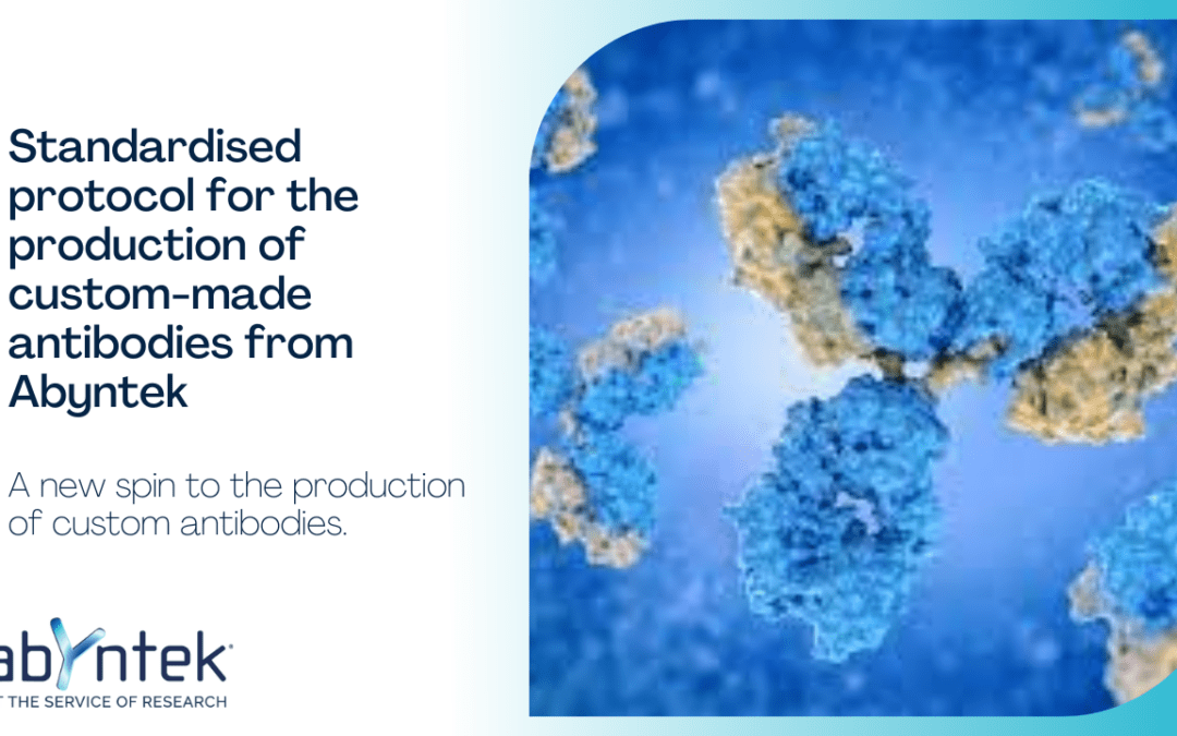 A New standardized protocol for the production of custom antibodies from Abyntek