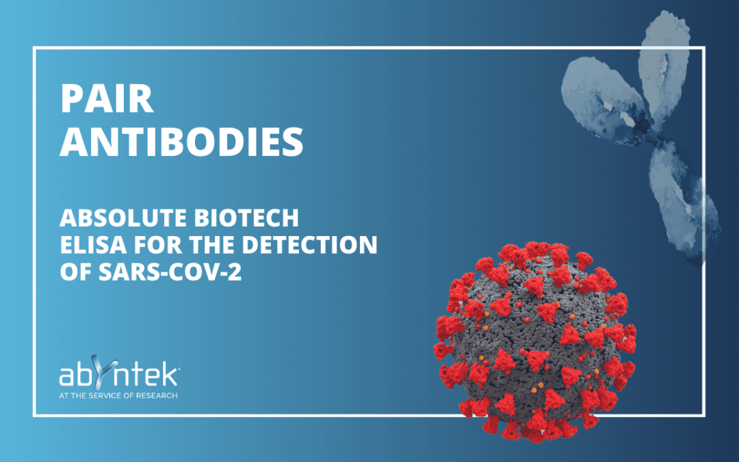 ELISA FOR THE DETECTION OF SARS-COV-2:  PAIR  ANTIBODIES COMBINATION FROM ABSOLUTE BIOTECH